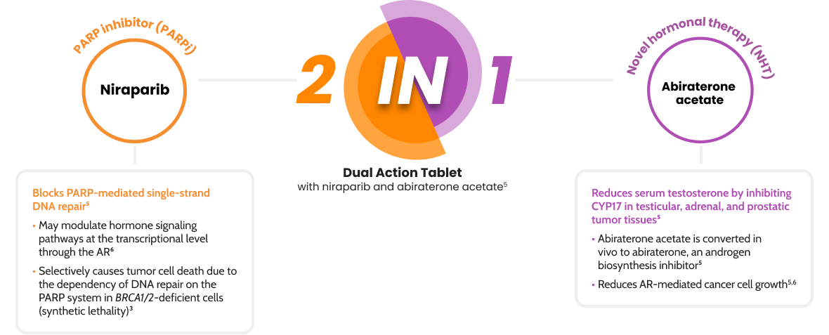 2-in-1 Dual Action Tablet with niraparib and abiraterone acetate infographic
