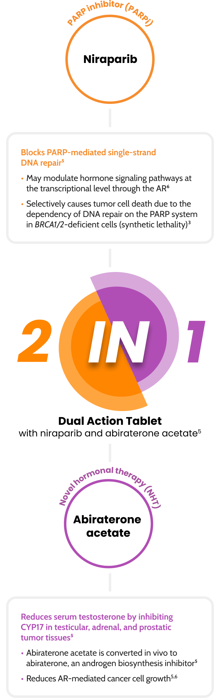 2-in-1 Dual Action Tablet with niraparib and abiraterone acetate infographic