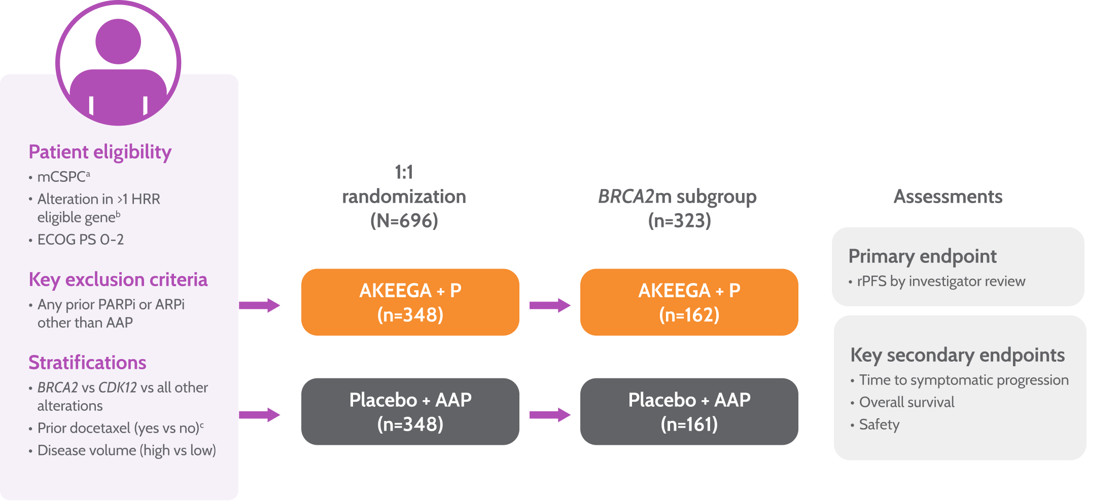 MAGNITUDE study design for AKEEGA® in mCRPC: eligibility, HRR stratification, 1:1 randomization, endpoints assessed